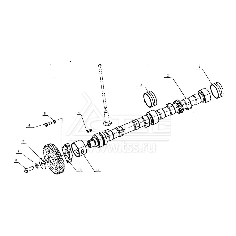 Распредвал TSS Diesel TDY 25 4L; TDY 30 4L