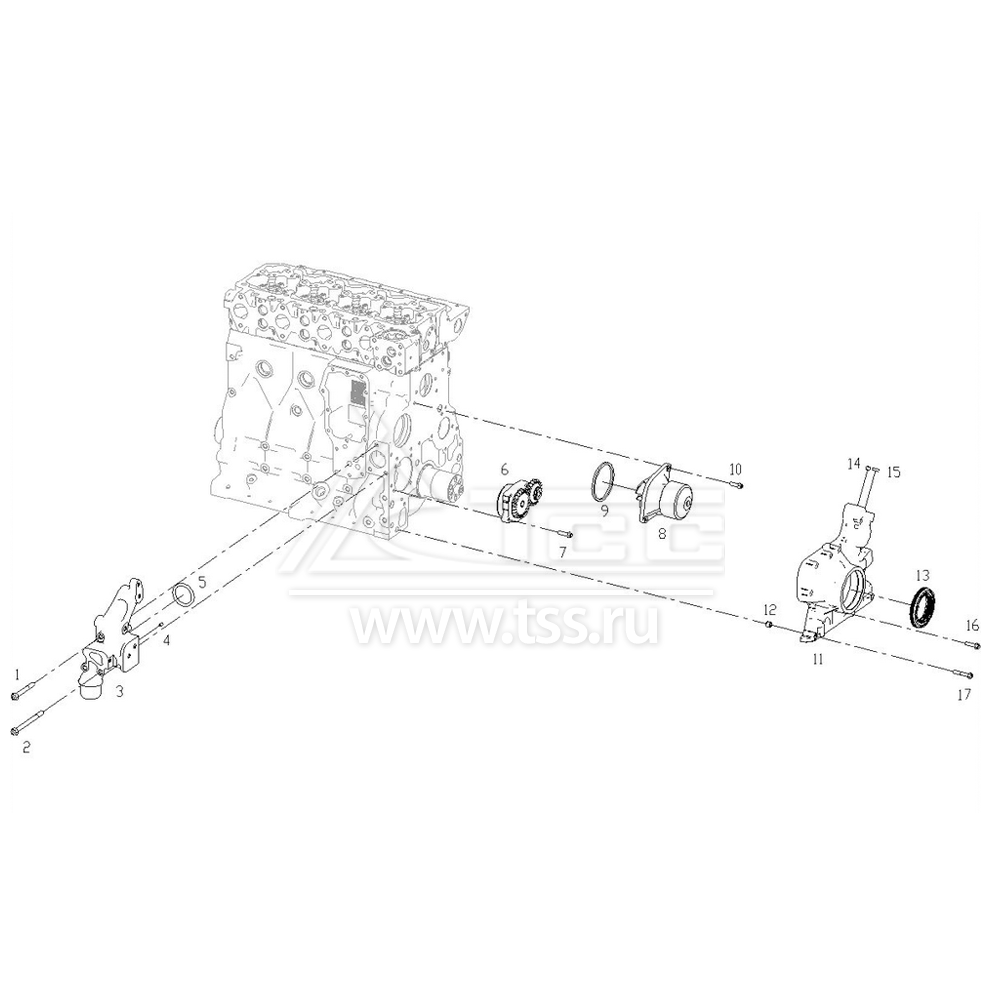 Маслонасос и водяной насос TSS Diesel TDS62-4LTE