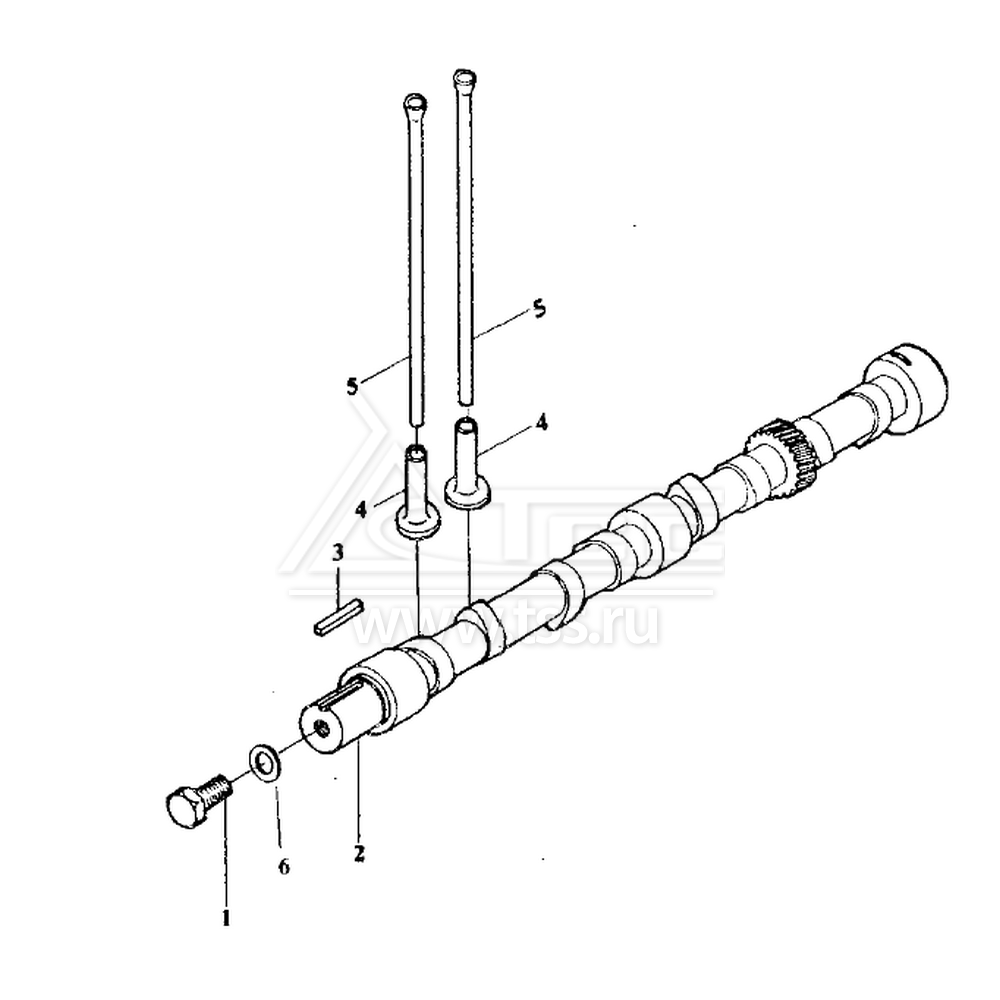  Распределительный вал TSS Diesel TDY 15 4L