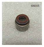 Колпачок маслосъёмный R2V870X/Valve guide oil seal 7*11*10F