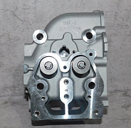 Головка блока цилиндра SDG 5500EHA,CP188FE (в сборе - клапаны,пружины) Cm / Cylinder head assy (20023-00056-00)