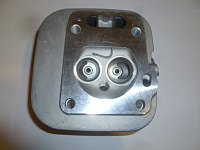 Головка блока цилиндра (L-левая)  в сборе с втулками,седлами клапанов SGG10000/Cylinder head Assy L