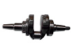 Вал коленчатый SGG 7500(..),SC192FB (в сборе с подшипником и шестернями) / Crankshaft Assy (13300-E88F-A000)