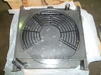 Радиатор охлаждения TDQ 12 3L/Radiator Assy