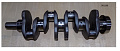 Вал коленчатый TDQ 20 4L (Crankshaft QC490Q(DI)-05004B)