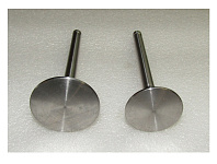 Комплект клапанов (впускной и выпускной,2 шт) TDL16-36 4L/Valve kit